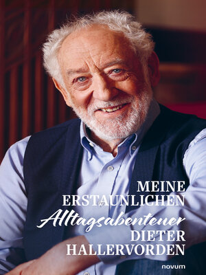 cover image of Meine erstaunlichen Alltagsabenteuer